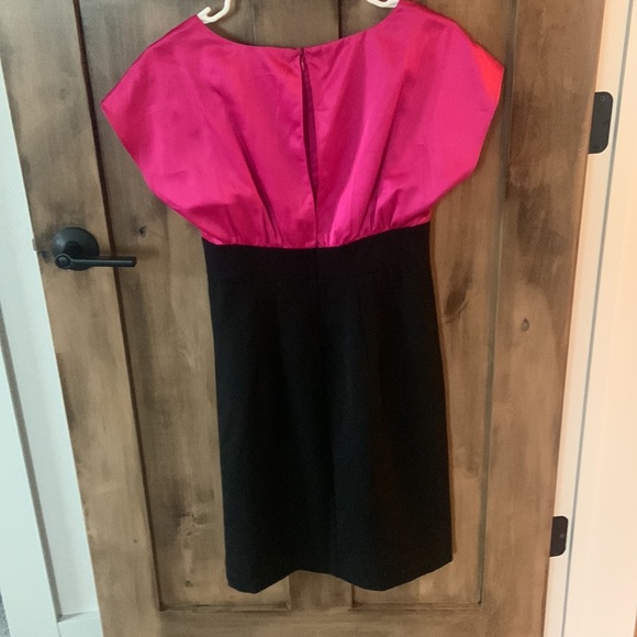 The Limited Dress - Picture 6 of 11